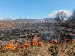 A tüzet a szentendrei tűzoltók oltották el