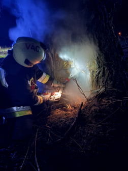 Az aszódi hivatásos tűzoltók megakadályozták a lángok továbbterjedését