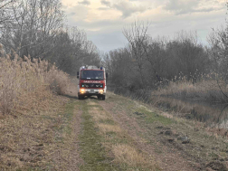 Négy hektáron égett a növényzet