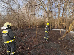 Az aljnövényzetről a fákra is átterjedt a tűz
