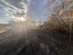 A tüzet a dabasi és a szigetszentmiklósi tűzoltók oltották el