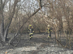 A tűzoltók átvizsgálták a leégett területet