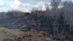 Száraz növényzet égett Budakalászon