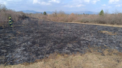 A tűzoltók átvizsgálták a területet