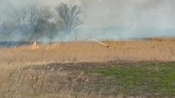 Száraz fű, nádas égett Bugyi külterületén