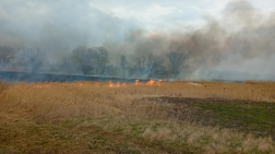 Tíz hektáron égett a növényzet