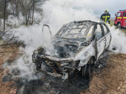 A tűzoltók eloltották az autó környezetére átterjedt lángokat is