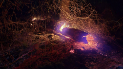 Fa égett Budakalászon