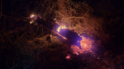 Fa égett Budakalászon