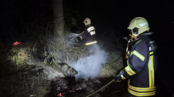 Fa égett Budakalászon