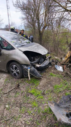 A törökbálinti tűzoltók végeztek a műszaki mentés feladatokat