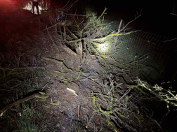 A ceglédi hivatásos tűzoltók végezték a műszaki mentési feladatokat