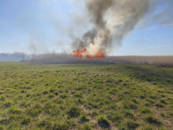 Száraz fű, nádas égett Bugyi külterületén