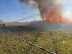 Három hektáron égett a növényzet