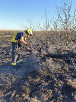 A tüzet a dabasi tűzoltók oltották el