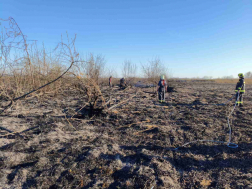 A tűzoltók átvizsgálták a területet