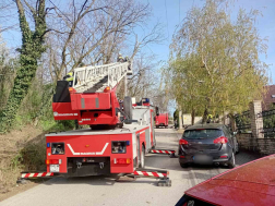 A kidőlt fák forgalmi akadályt okoztak