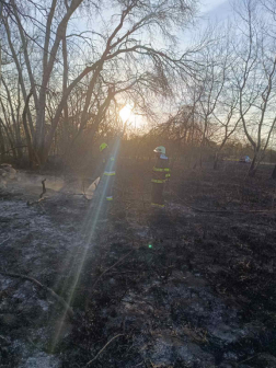 Száraz fű, bozótos égett Tápiószecső külterületén