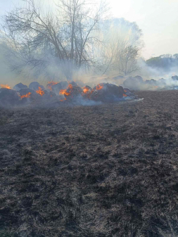 A tűz nagy területen égett