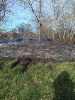A feltámadt szél nehezítette a tűzoltók munkáját
