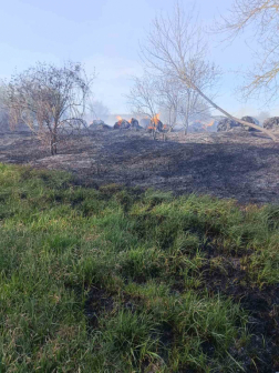 A tüzet a nagykátai, a monori és a tápiószecsői tűzoltók oltották el