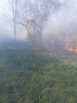A tűzoltók megakadályozták a lángok továbbterjedését