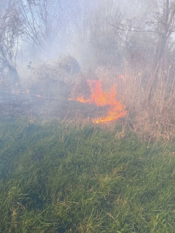 A tűzoltók átvizsgálták a leégett hét hektáros területet