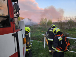 Száraz fű, bozótos égett Dányban