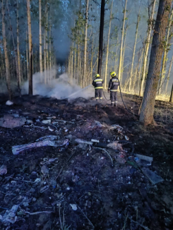 Erdő aljnövényzete kapott lángra Tápiószecső külterületén