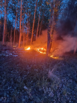 A tüzet a nagykátai és a tápiószecsői tűzoltók oltották el