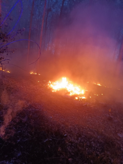 A tűzoltók átvizsgálták a területet