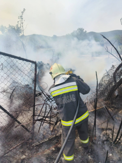 Száraz növényzet kapott lángra Szentendrén