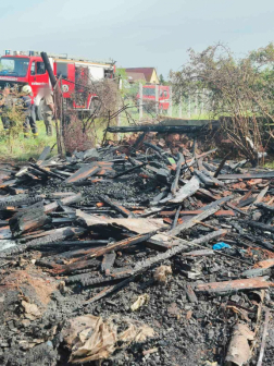 Száraz növényzet kapott lángra Szentendrén