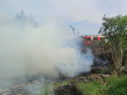 Száraz növényzet kapott lángra Szentendrén
