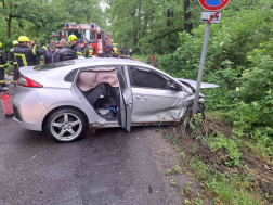 A tűzoltók átvizsgálták az autókat