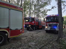 Harminc hektáron égett a növényzet