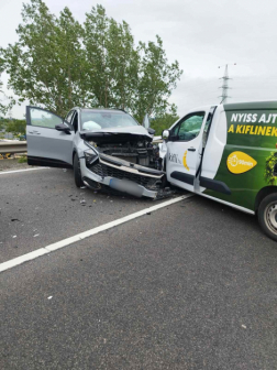 A törökbálinti tűzoltók végeztek a műszaki mentés feladatokat