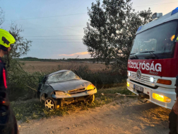 A gépkocsi több fának is neki ütközött