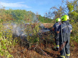Összehordott gallyak égtek Pilisen