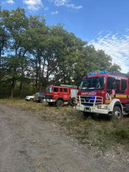 A tűzoltók átvizsgálták a leégett területet