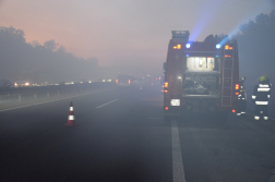 Erdő aljnövényzete égett az M5-ös autópálya mellett