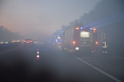 Erdő aljnövényzete égett az M5-ös autópálya mellett