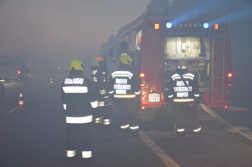 Erdő aljnövényzete égett az M5-ös autópálya mellett