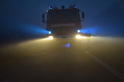 Erdő aljnövényzete égett az M5-ös autópálya mellett