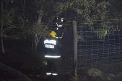 Erdő aljnövényzete égett az M5-ös autópálya mellett