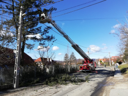 Katasztrófavédelem