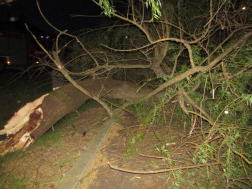 Viharkárok Pest megyében