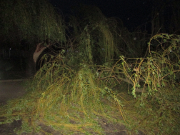 Viharkárok Pest megyében