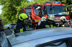 A gödöllői hivatásos tűzoltók dolgoztak a helyszínen