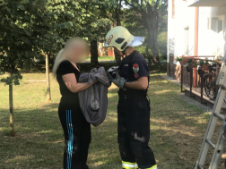 A megmentett kismacskát átadták a gazdájának